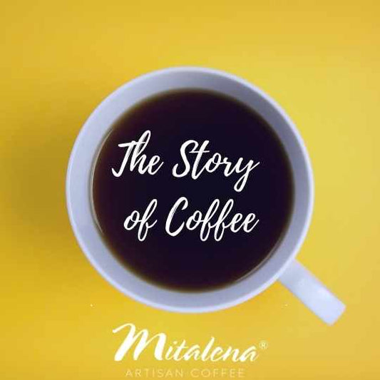 The Story Of Coffee